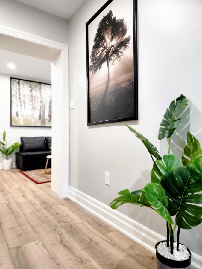 The Cozy Cove Modern King-Bedroom Full Apartment Sainte-Catherine المظهر الخارجي الصورة