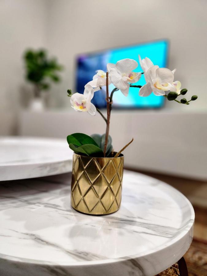 The Cozy Cove Modern King-Bedroom Full Apartment Sainte-Catherine المظهر الخارجي الصورة
